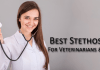 10-Best-Stethoscopes-For-Veterinarians-&-Doctors