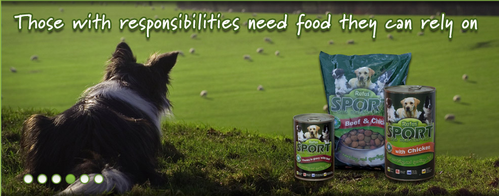 popular-pet-food-brands-in-pakistan-veterinary-hub